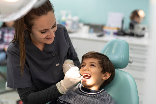 Best Emergency Dentist for Knocked-Out Tooth in Shingle Springs, CA